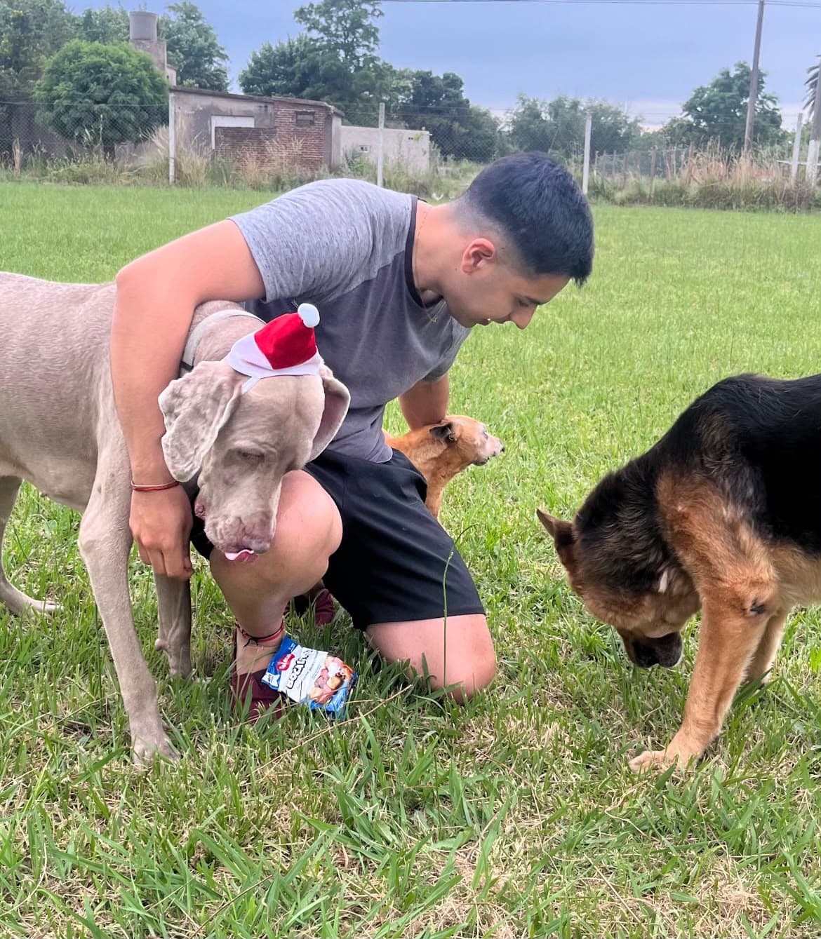 Brandon con Jack, Rex y Railey.